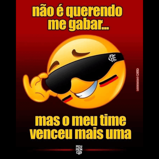 Memes flamengo 11