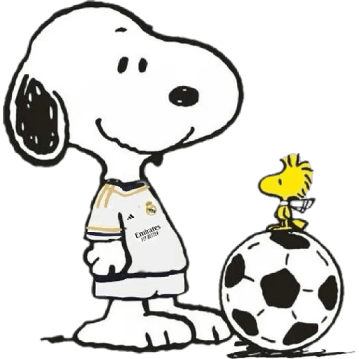 Fútbol ⚽️ 7