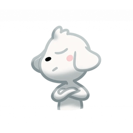 Perrito Blanco 🤍🐕 9