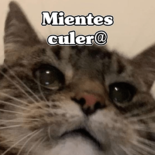 🧿Memes Variados16 😎 8