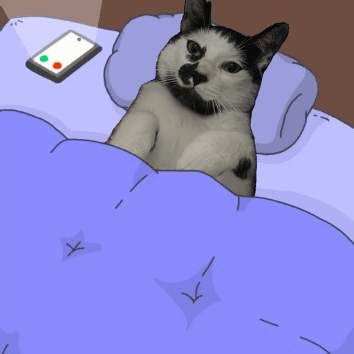 Gatitos 7