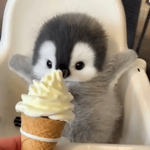 💓 Pingüinos bebé 2🐧 4