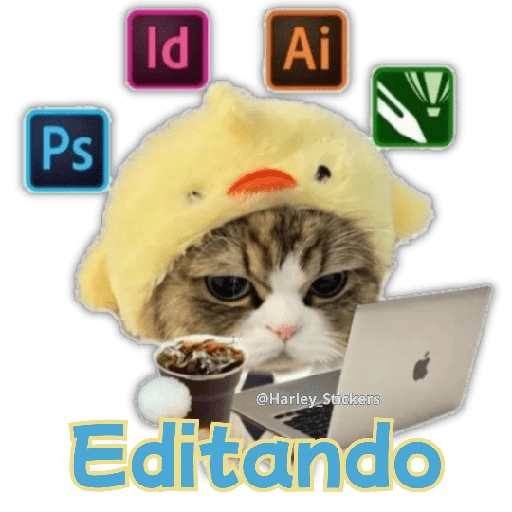 🧋🍉 GATOS que NECESITAS 🍉🧋 9