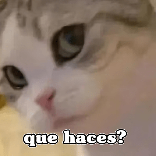 🧿Dilo con Michis3🐱 2