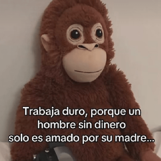 🧿Punch Frases♥️🦧🐒 12