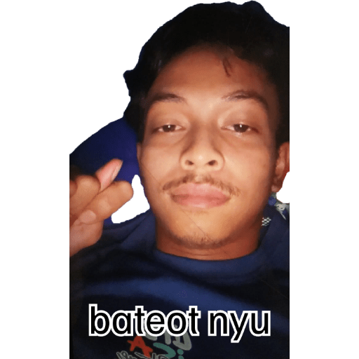 Herdin 12