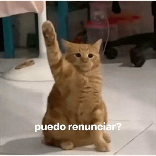 Frases de trabajo 😹 7