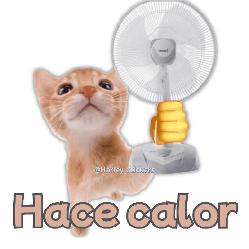 🧋🍉 GATOS que NECESITAS 🍉🧋 10