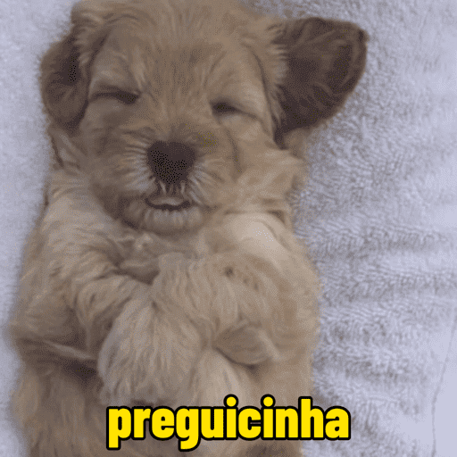 Cachorros  14