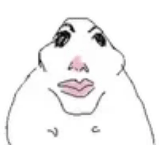 Hamster 4 9