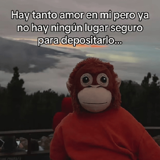 🧿Punch Frases♥️🦧🐒 14