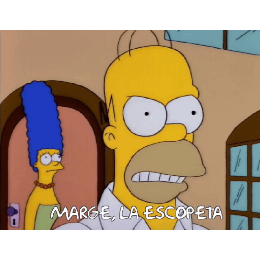 Los Simpson 16