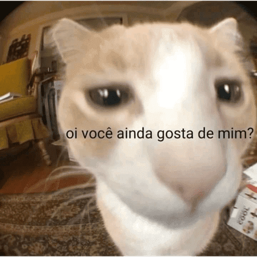 Cantadas gatinhos  10
