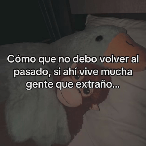 🧿Punch Frases♥️🦧🐒 11