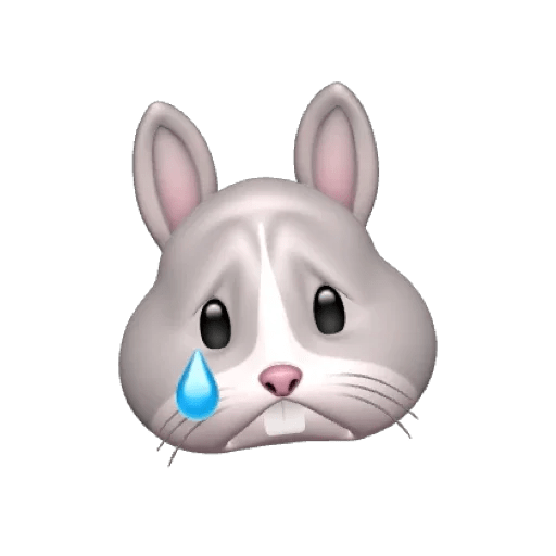 Rabbitmemoji 9