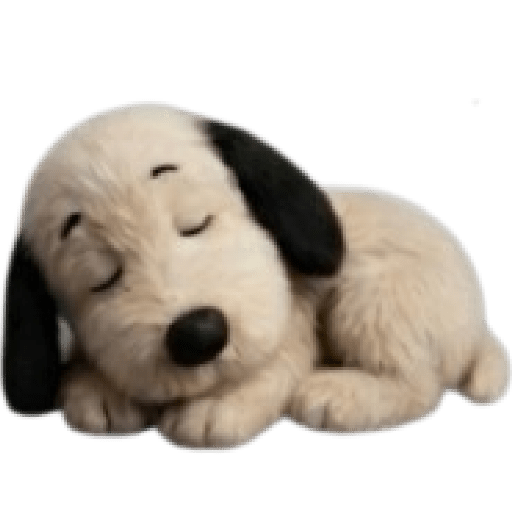 Snoopy teddy 🦴🏠 1