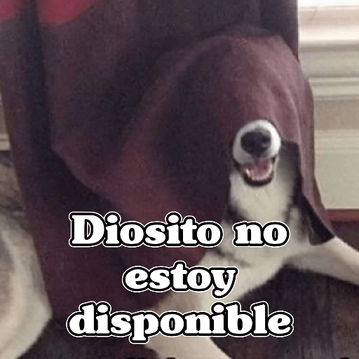 🧿Memes Variados16 😎 9
