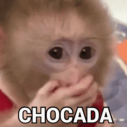 MEMES VARIADOS 9