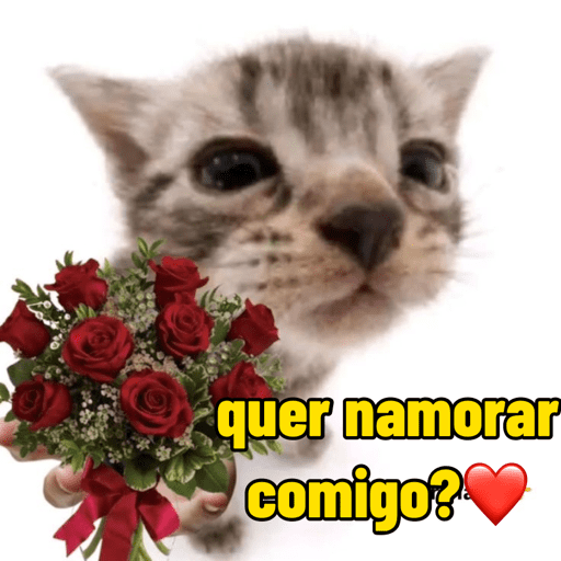 Cantadas gatinhos  5