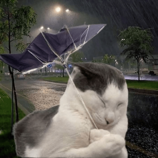 Gatitos 🤗 7