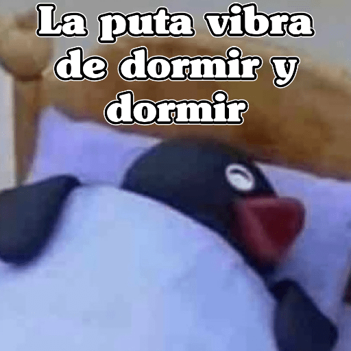 🧿Memes Variados16 😎 1