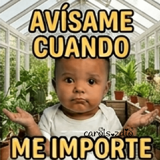 🪁Bebés con actitud 🚼🍼😒 8