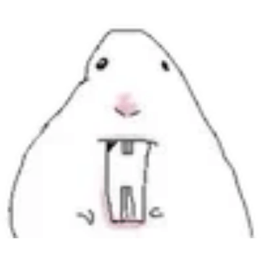 Hamster 2 17