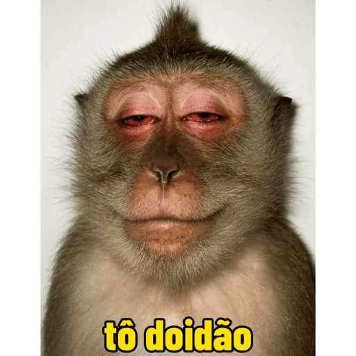 Macacos  14