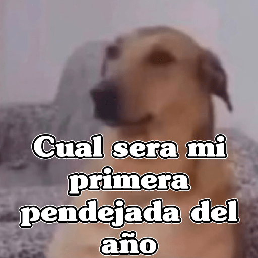 🧿Memes Variados16 😎 2