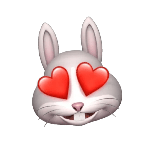 Rabbitmemoji 13