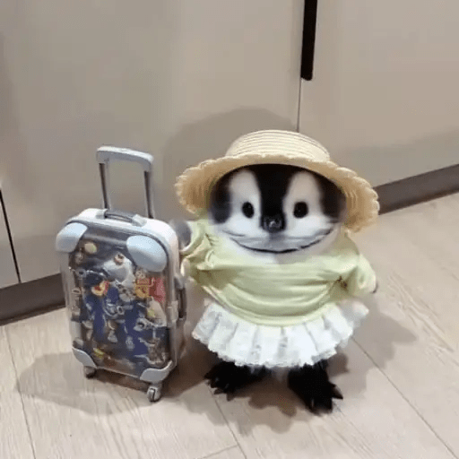 💓 Pingüinos bebé 2🐧 6