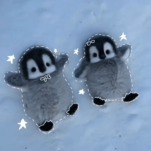 💓 Pingüinos bebé 2🐧 7