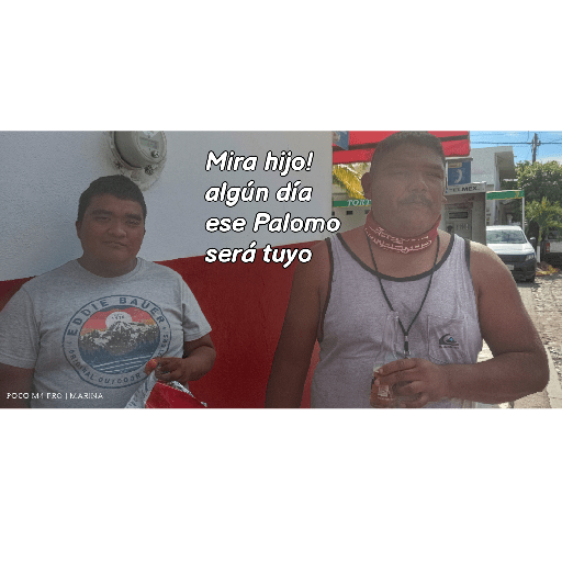 Nuevos 7