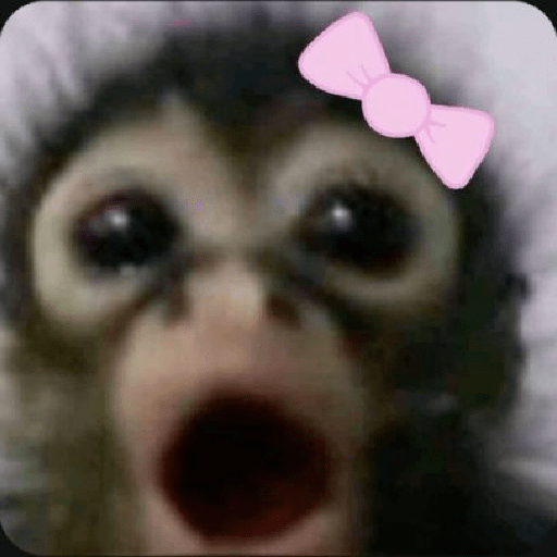 Monitos 🐵 7