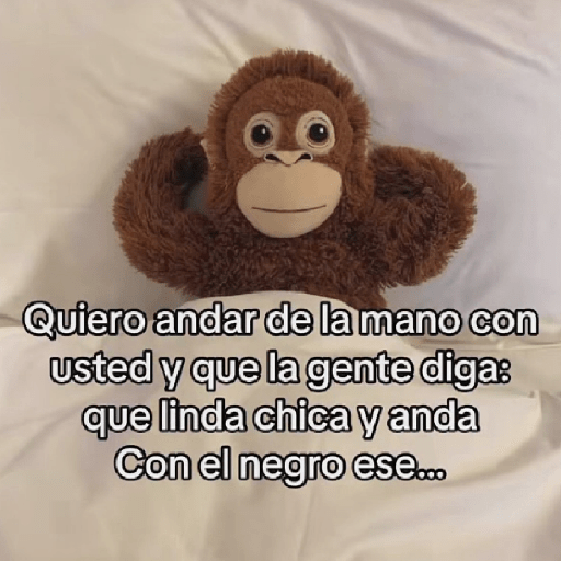🧿Punch Frases♥️🦧🐒 13