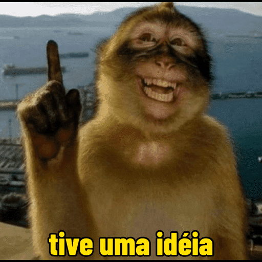 Macacos  11
