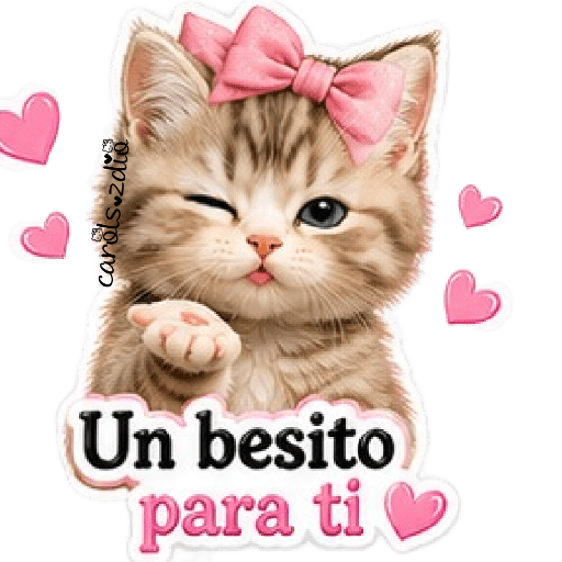 Gatos Coquette 💕🎀 6