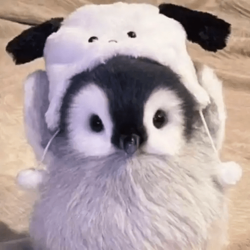 💓 Pingüinos bebé 2🐧 13