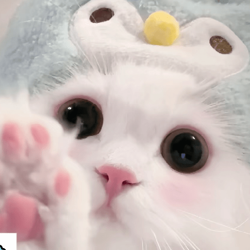 🧿Dilo con Michis3🐱 26