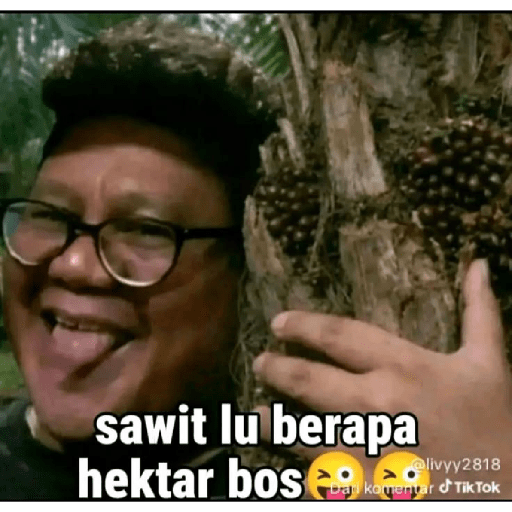 Bowo Presiden 9