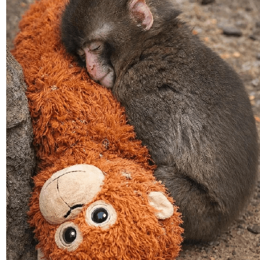 🧿Punch monito bebe🦧🐒 23
