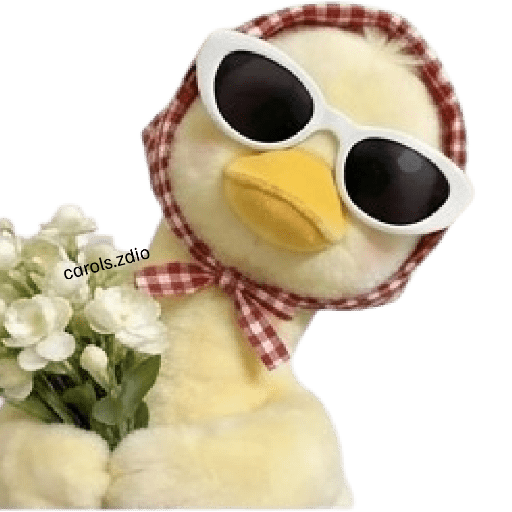 🦆 Pato pa todo (⁠⌐⁠■⁠-⁠■⁠) 3