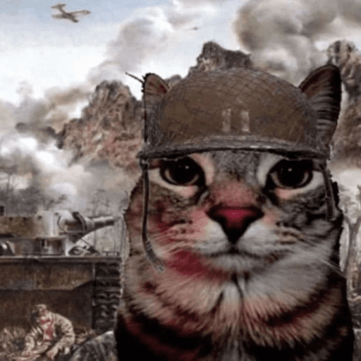 Cats 10 6