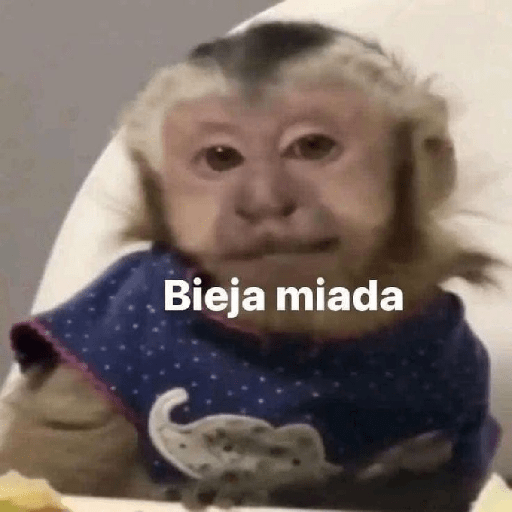 Monos 🙊 5