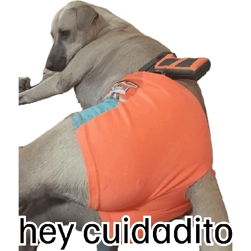 Amigos felices 9
