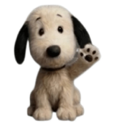 Snoopy teddy 🦴🏠 11