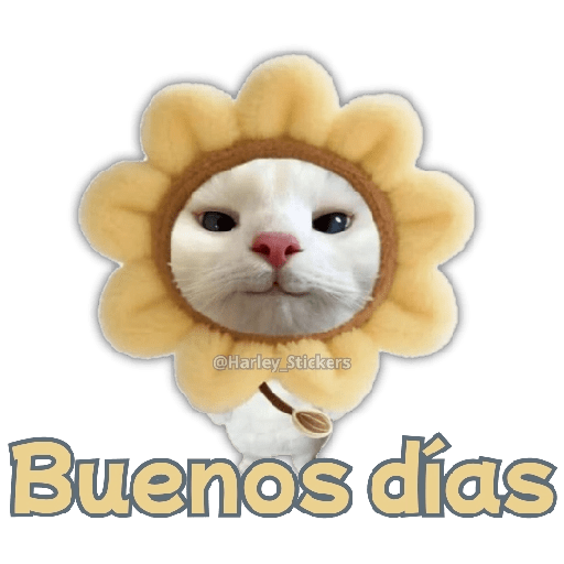 🧋🍉 GATOS que NECESITAS 🍉🧋 6
