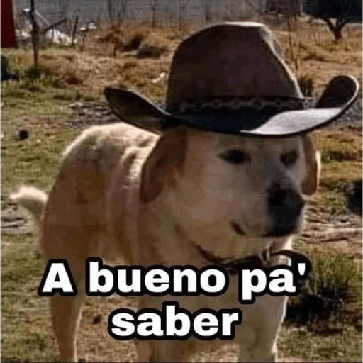 Te servirán para responder😎✨23 4