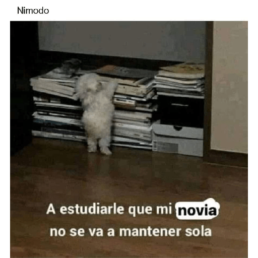 Anuel AA 26
