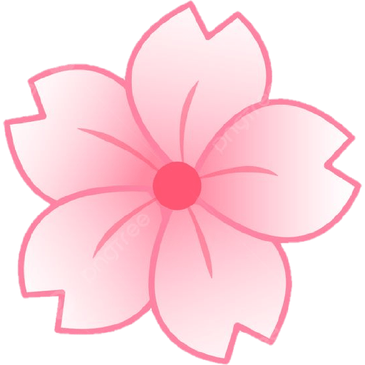 Cherry blossom flower sakura  7